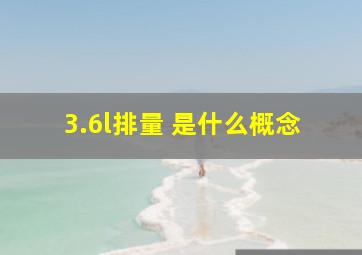 3.6l排量 是什么概念